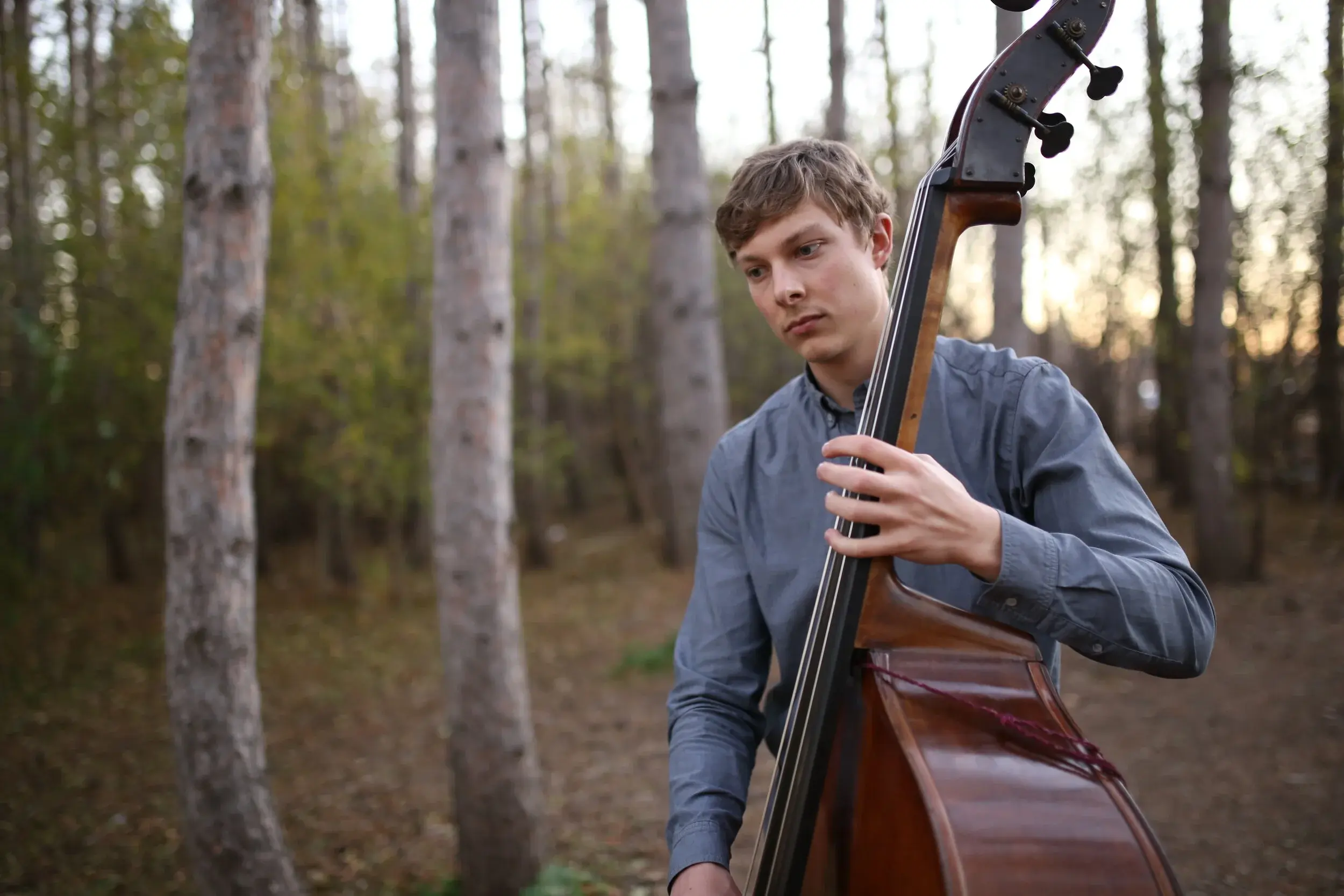 Søren Nissen - upright bass in forest (photo credit: Agnes Wywrot)